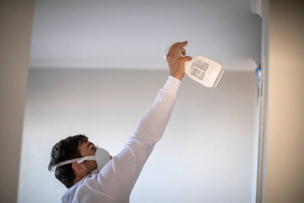 Best Professional Mold Removal  in Fountainhead Orchard Hills, MD