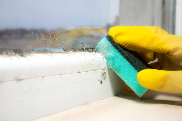 Best Office Mold Removal Services  in Fountainhead Orchard Hills, MD